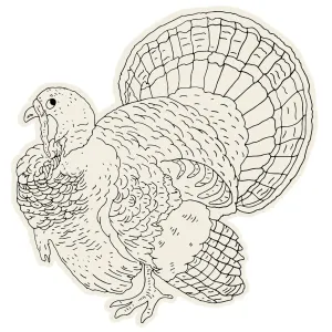 Die-Cut Coloring Turkey Placemats