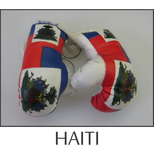 Haiti Mini Boxing Glove