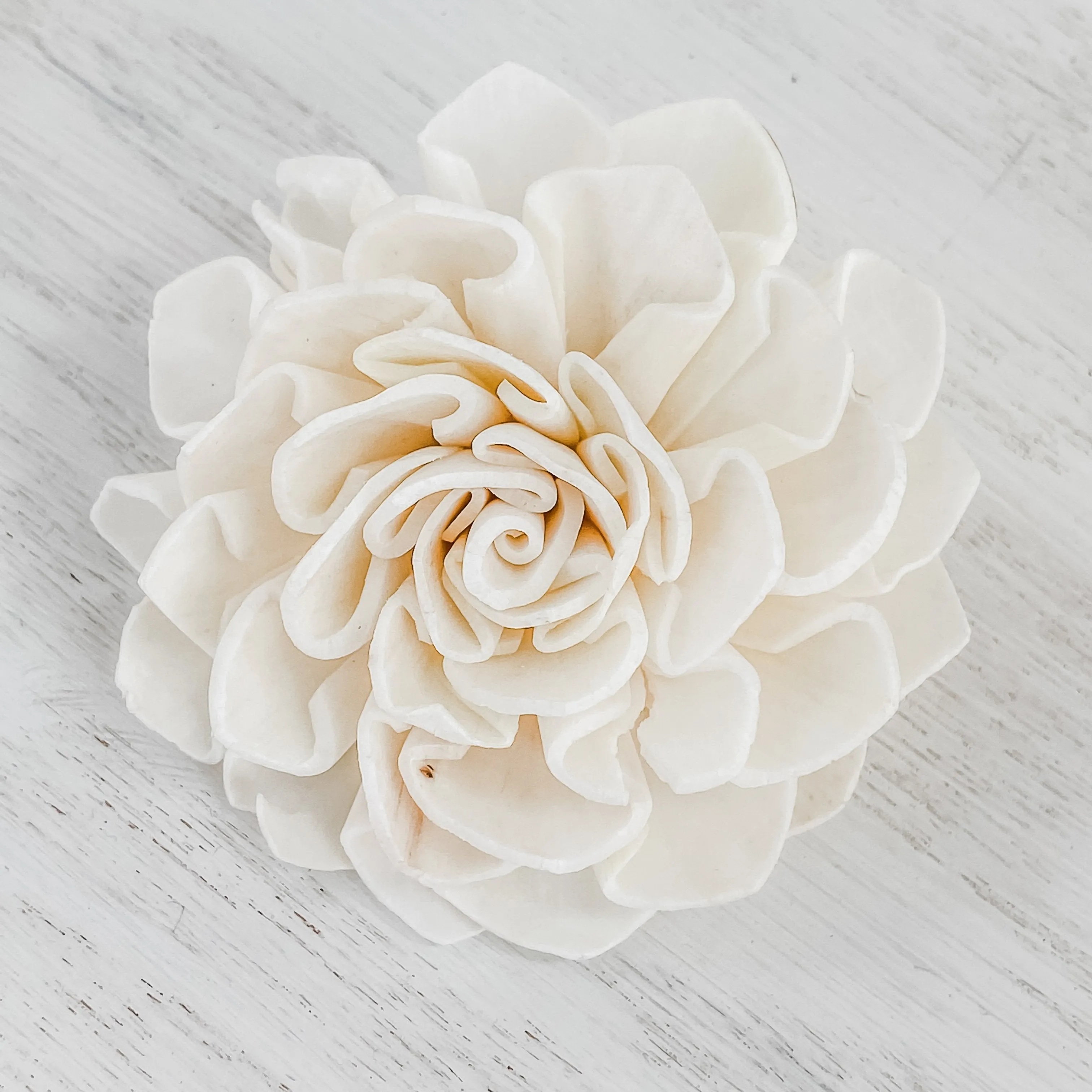 Mia Dahlia - 6 Loose Sola Flowers - Approximately 3" to 3.5"