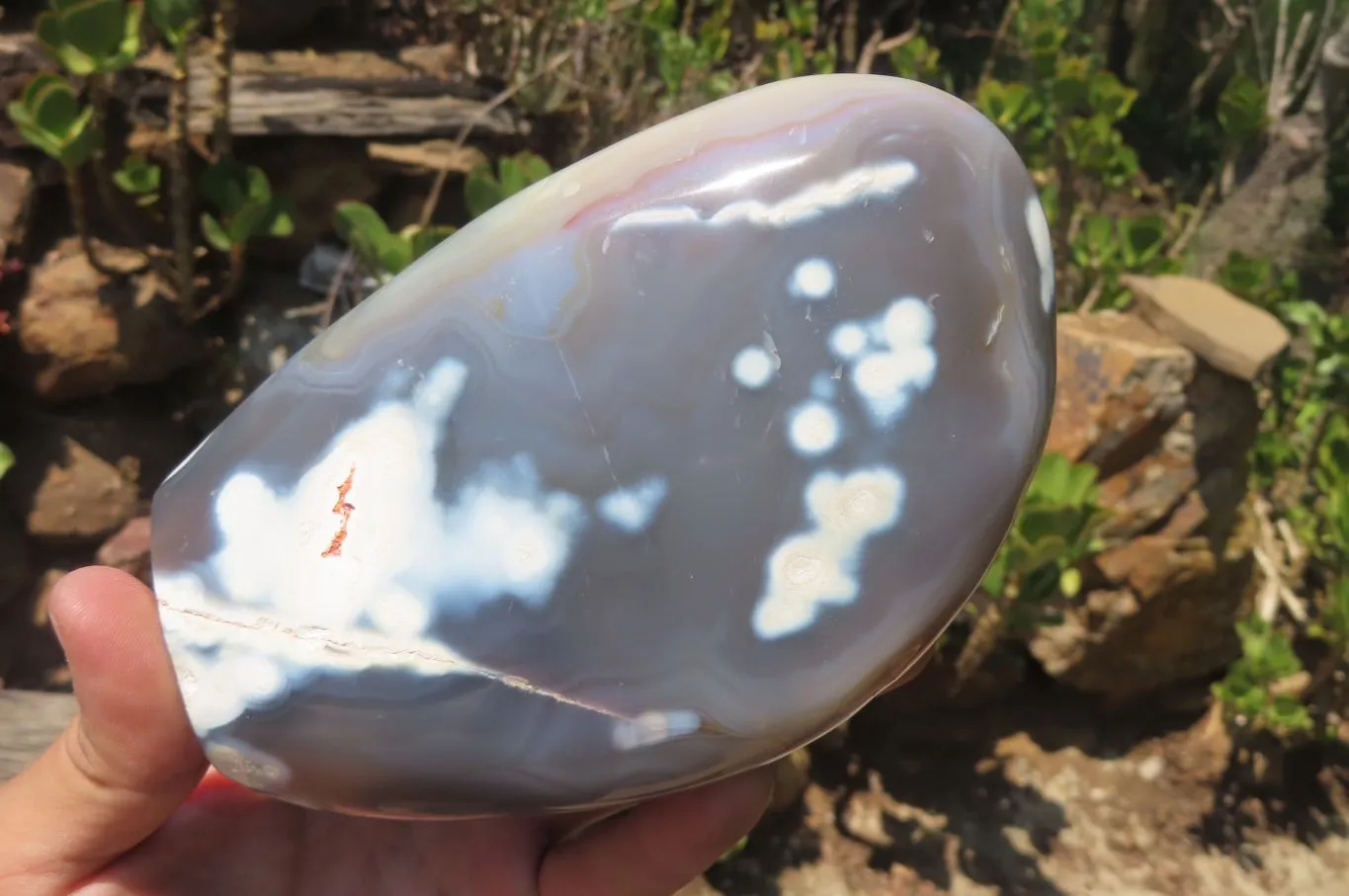 Polished Snow / Orca Agate Standing Free Forms x 2 From West Coast, Madagascar