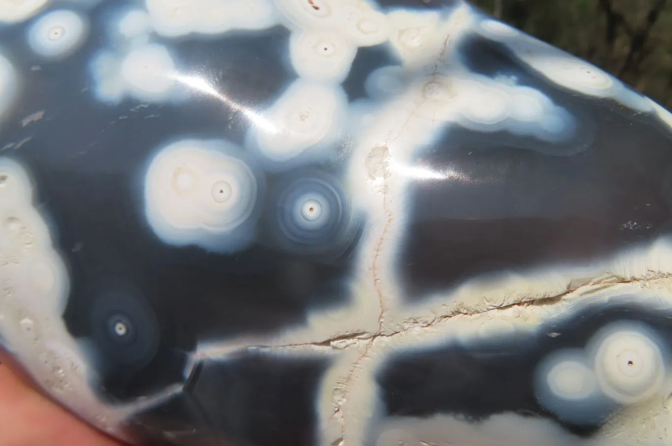 Polished Snow / Orca Agate Standing Free Forms x 2 From West Coast, Madagascar