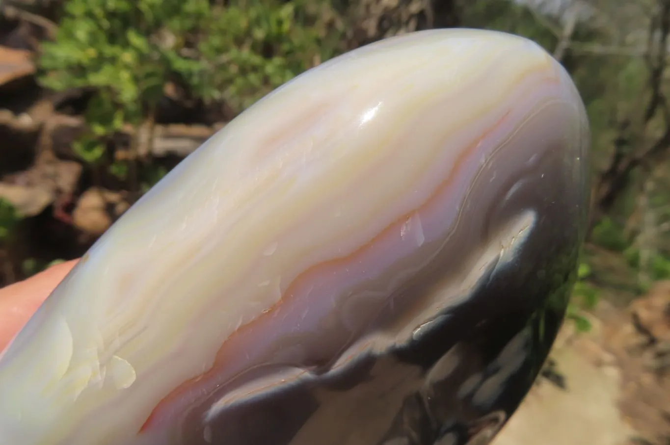 Polished Snow / Orca Agate Standing Free Forms x 2 From West Coast, Madagascar