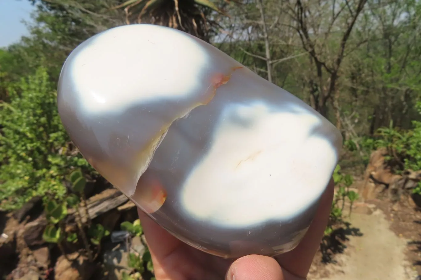 Polished Snow / Orca Agate Standing Free Forms x 2 From West Coast, Madagascar