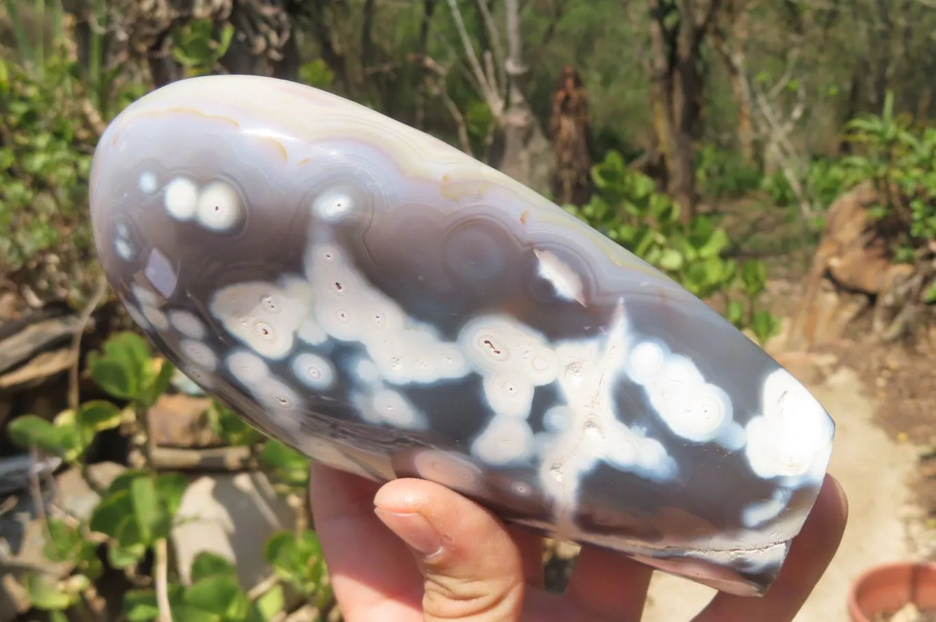 Polished Snow / Orca Agate Standing Free Forms x 2 From West Coast, Madagascar