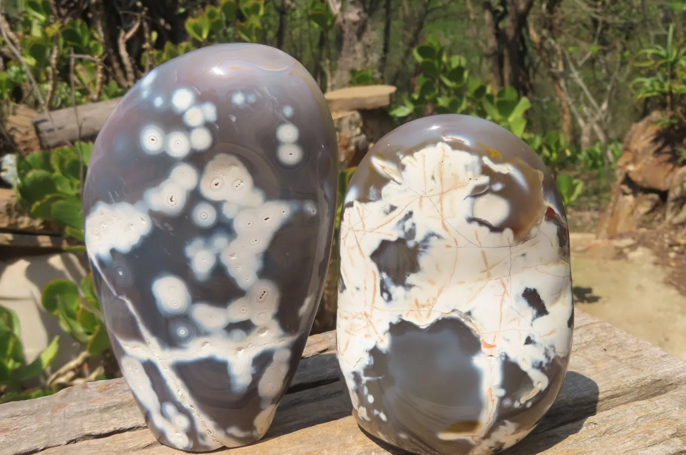 Polished Snow / Orca Agate Standing Free Forms x 2 From West Coast, Madagascar