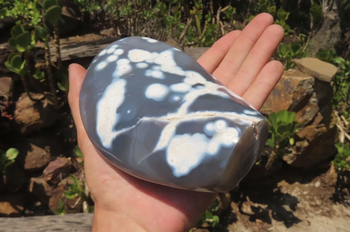 Polished Snow / Orca Agate Standing Free Forms x 2 From West Coast, Madagascar