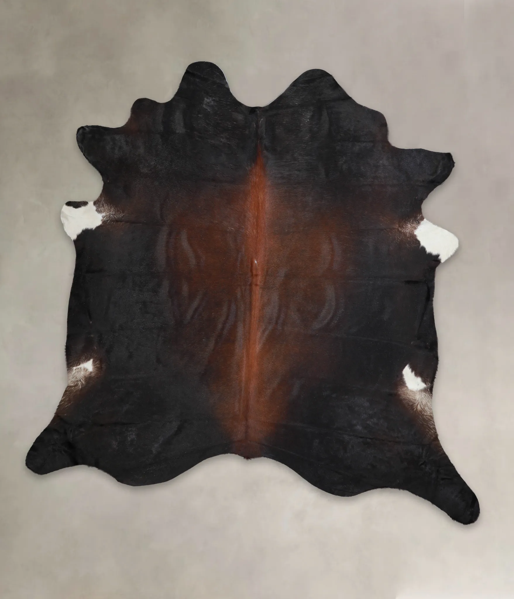 Warm Caramel XX-Large Brazilian Cowhide Rug 7'11"H x 7'8"W #A24527 by Hudson Hides