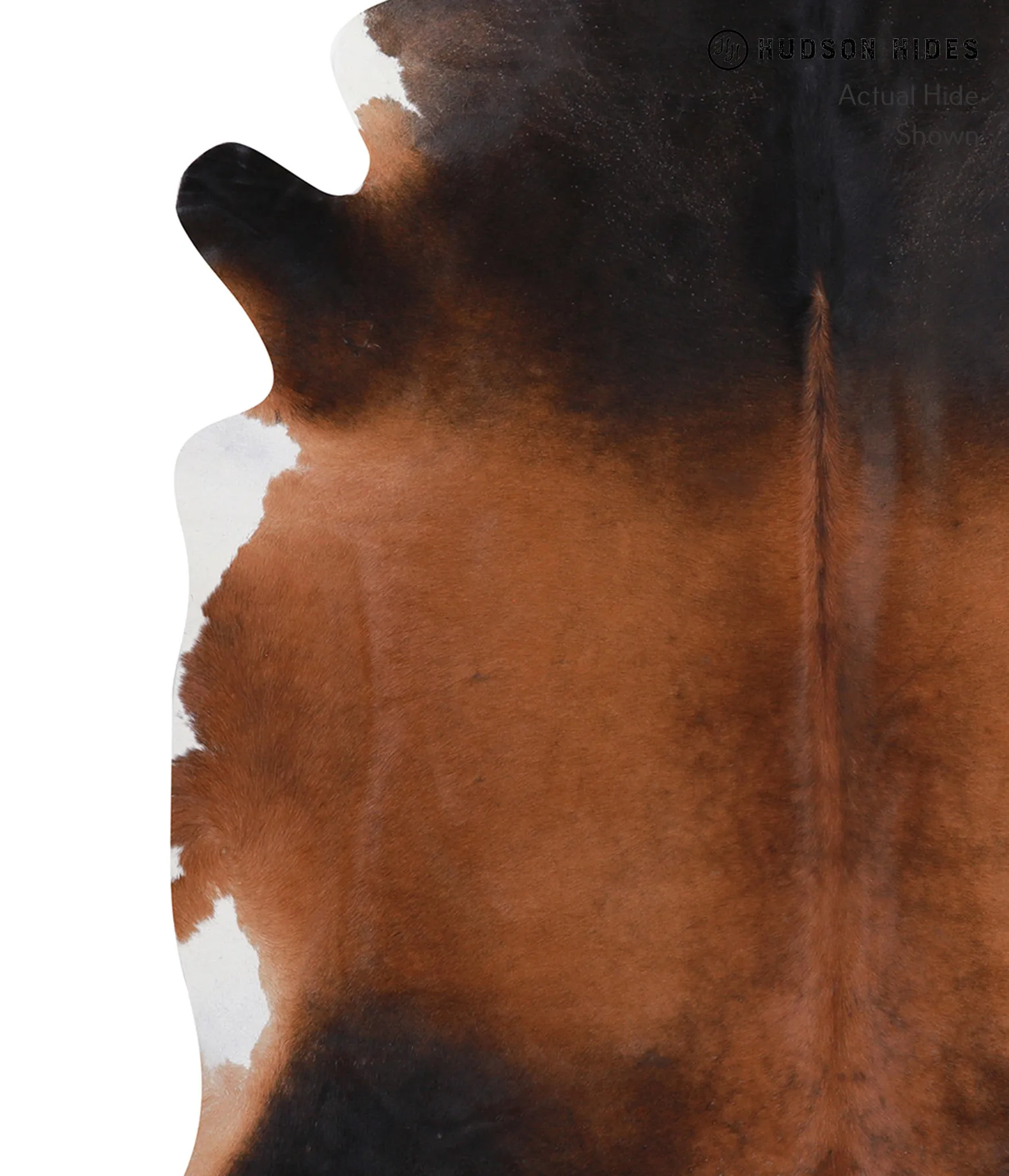 Warm Caramel XX-Large Brazilian Cowhide Rug 7'5"H x 7'6"W #A8417 by Hudson Hides