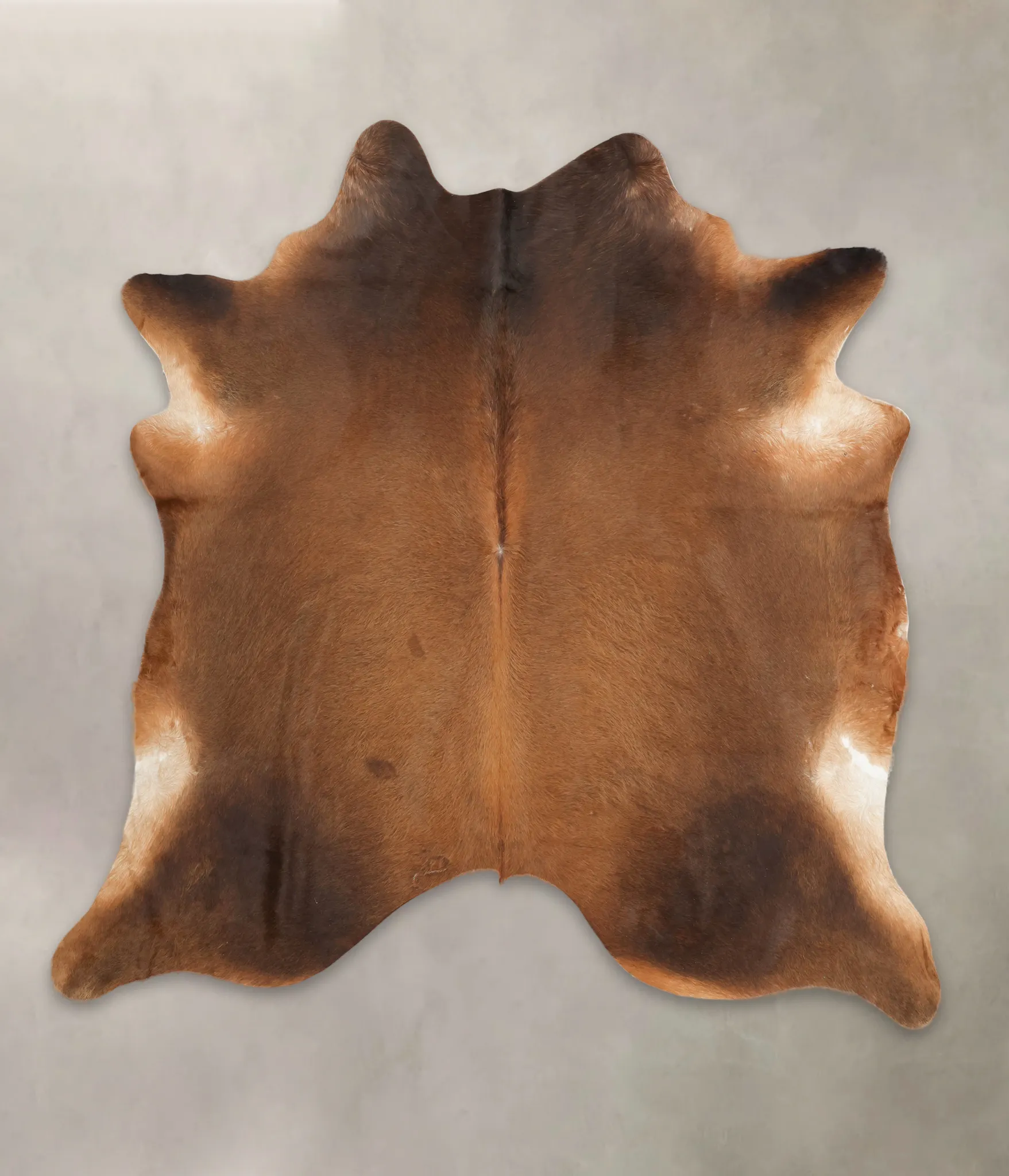 Warm Caramel XX-Large Brazilian Cowhide Rug 7'8"H x 7'3"W #B1122 by Hudson Hides