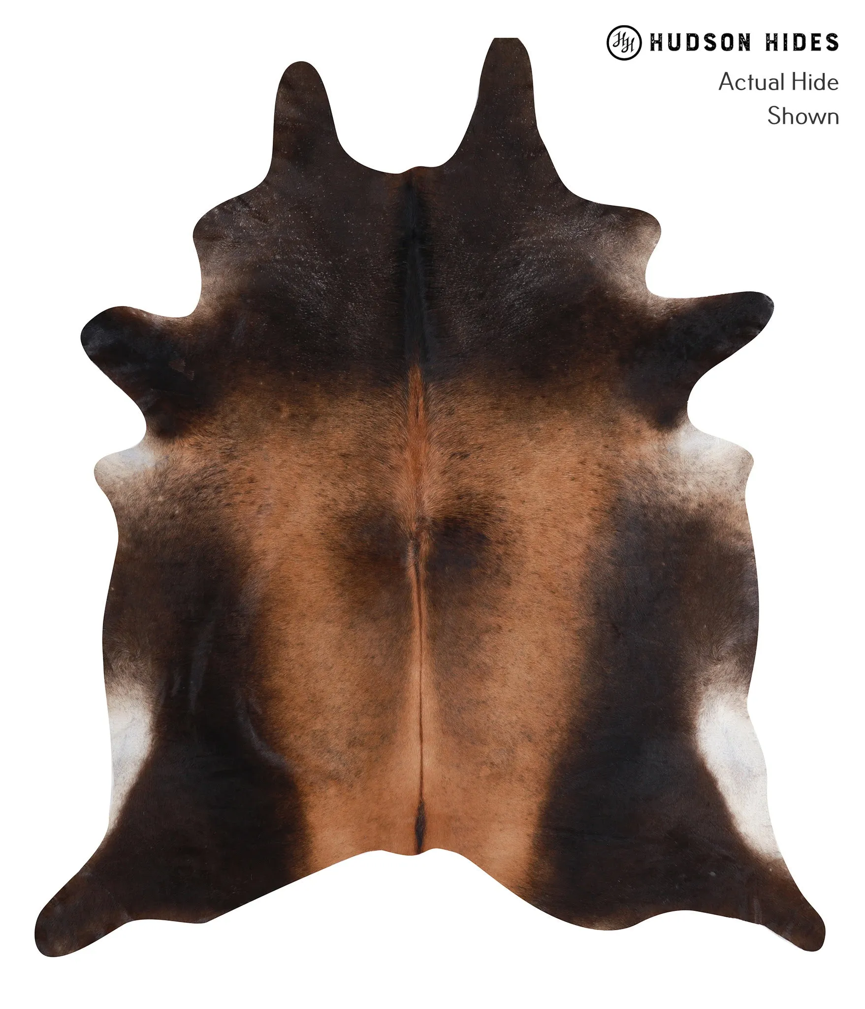 Warm Caramel XX-Large Brazilian Cowhide Rug 8'3"H x 7'2"W #A8257 by Hudson Hides